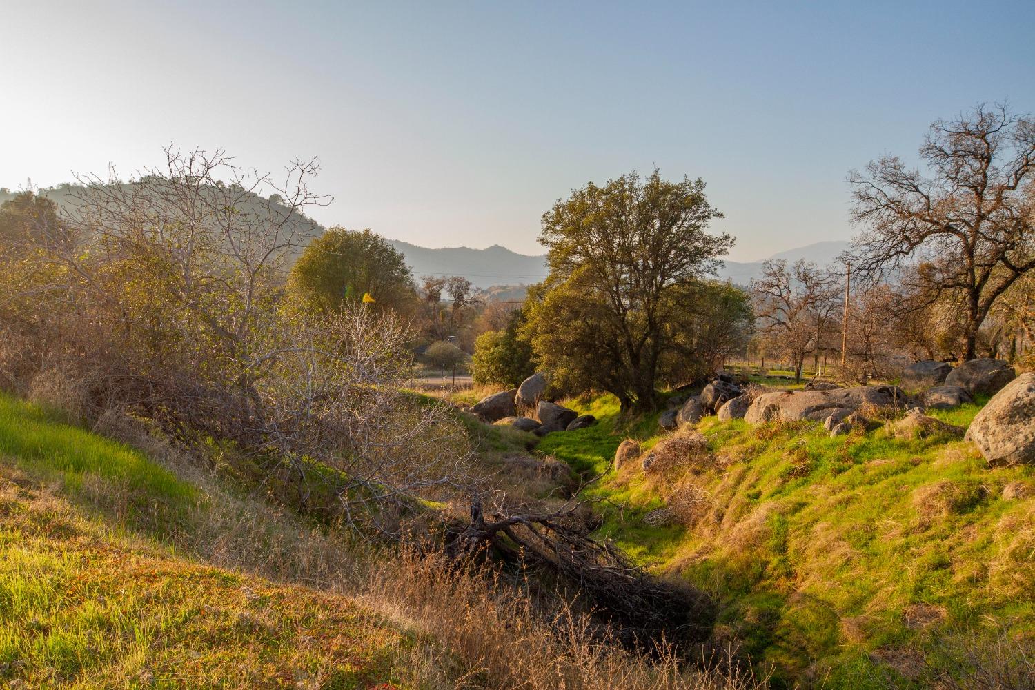 39428 Squaw Valley Road Squaw Valley, CA 93675 - Photo 11 of 14 a view of a yard