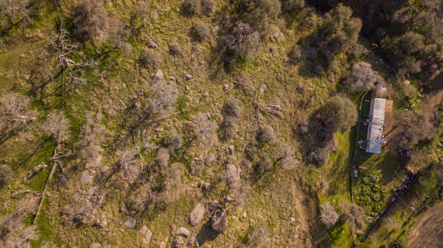 39428 Squaw Valley Road Squaw Valley, CA 93675 - Photo 9 of 14 a view of a yard