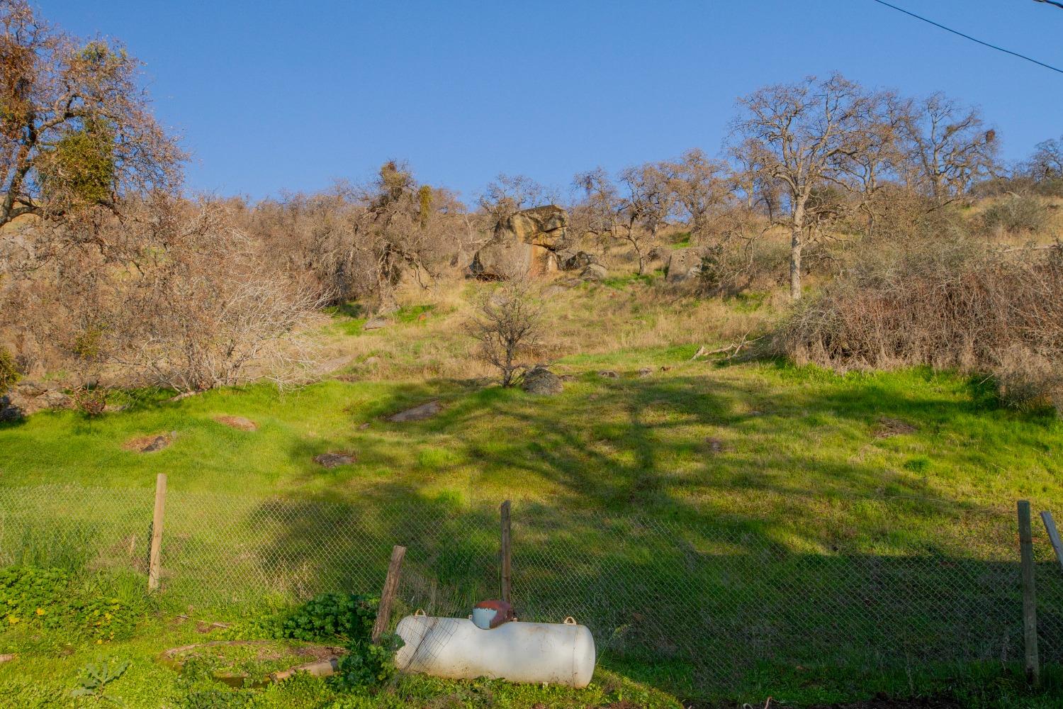 39428 Squaw Valley Road Squaw Valley, CA 93675 - Photo 10 of 14 a yard with green space