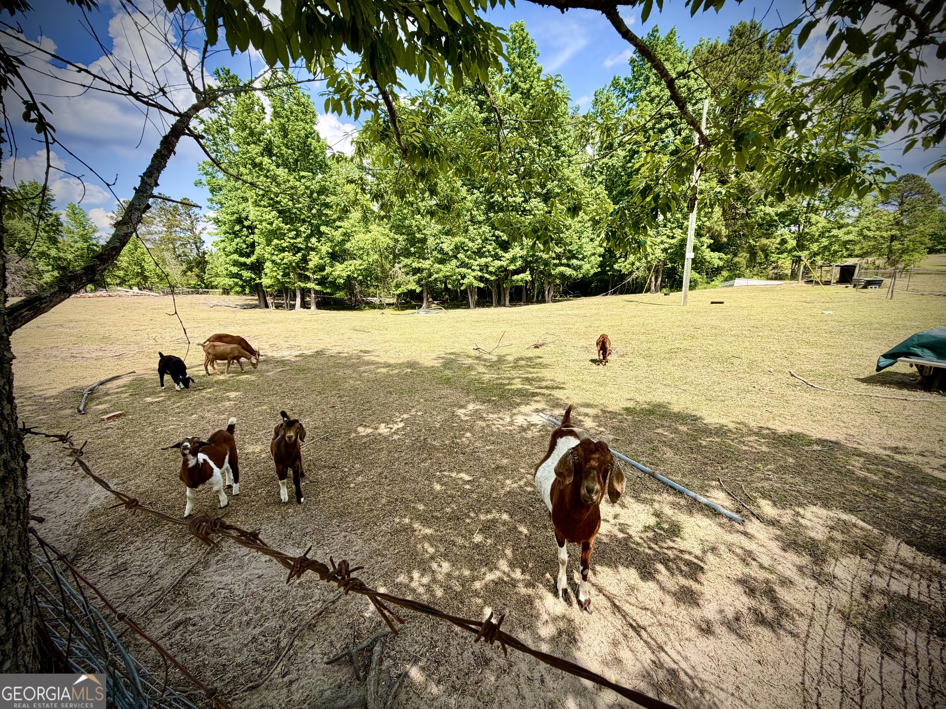 629 Bobby Fortner Road Kite, GA 31049 - Photo 52 of 63 a view of a yard