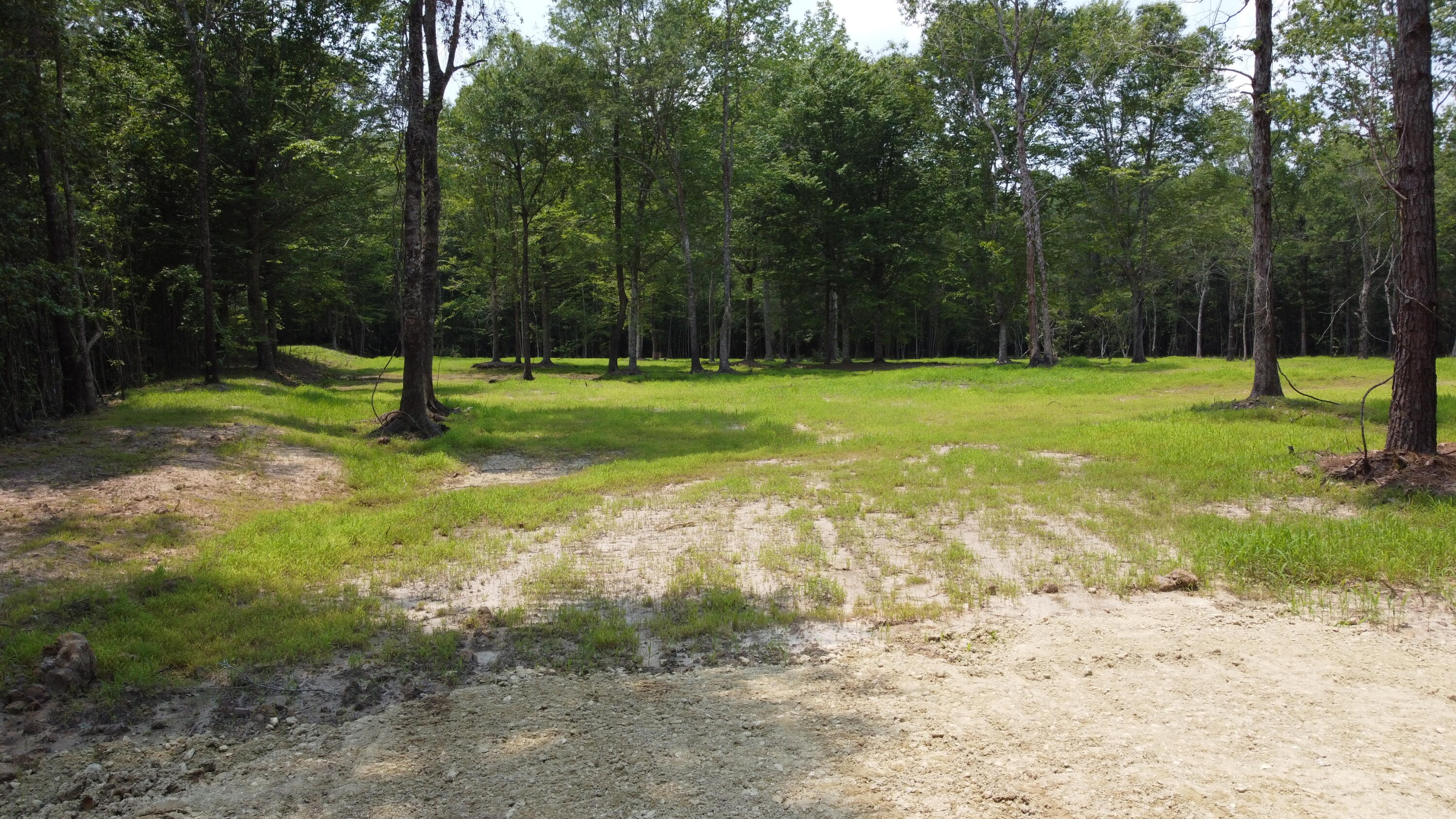 9 Steed Creek Road Huger, SC 29450 - Photo 15 of 15 DJI_0737 (1)