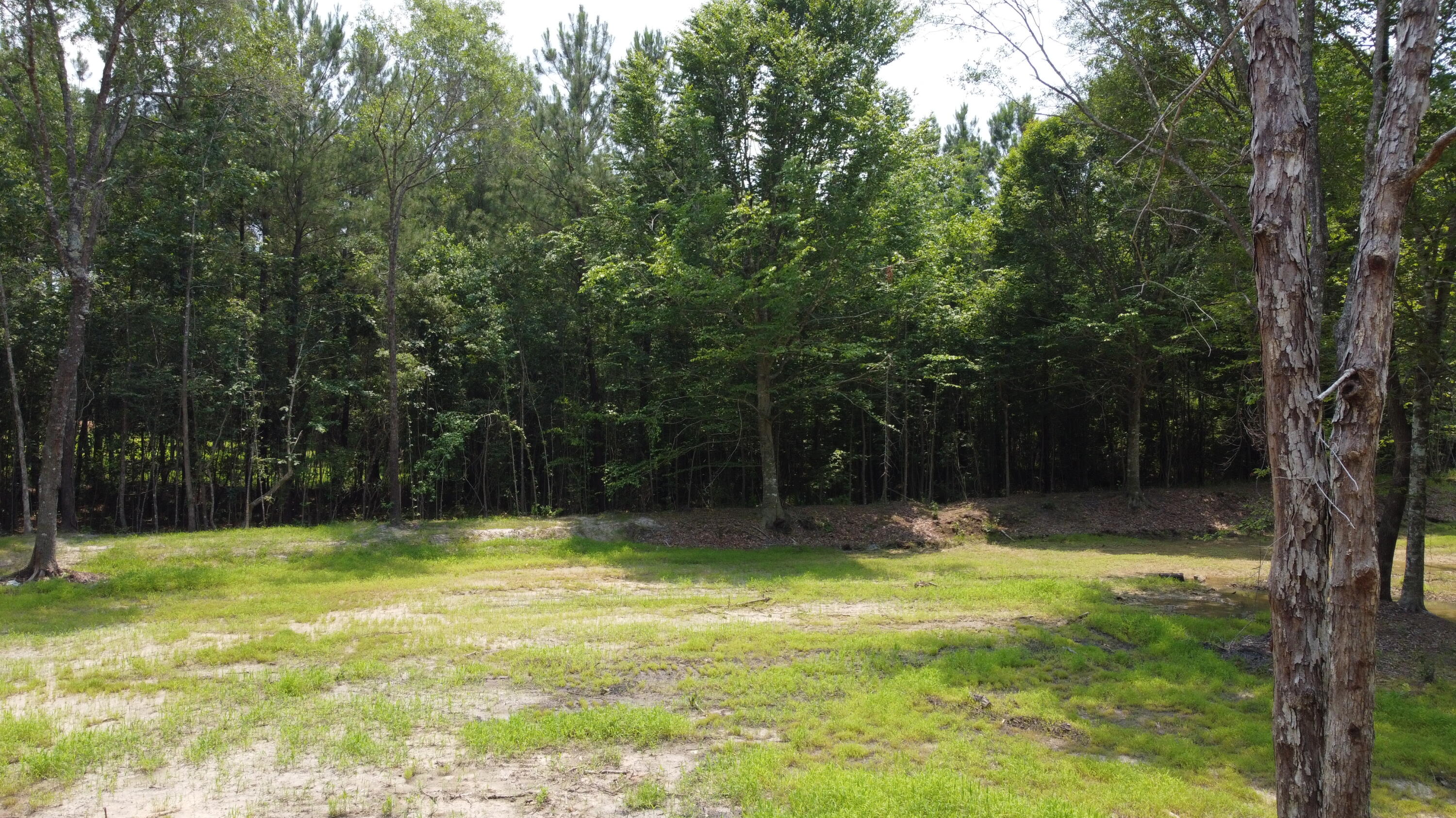 9 Steed Creek Road Huger, SC 29450 - Photo 2 of 15 DJI_0753 (1)