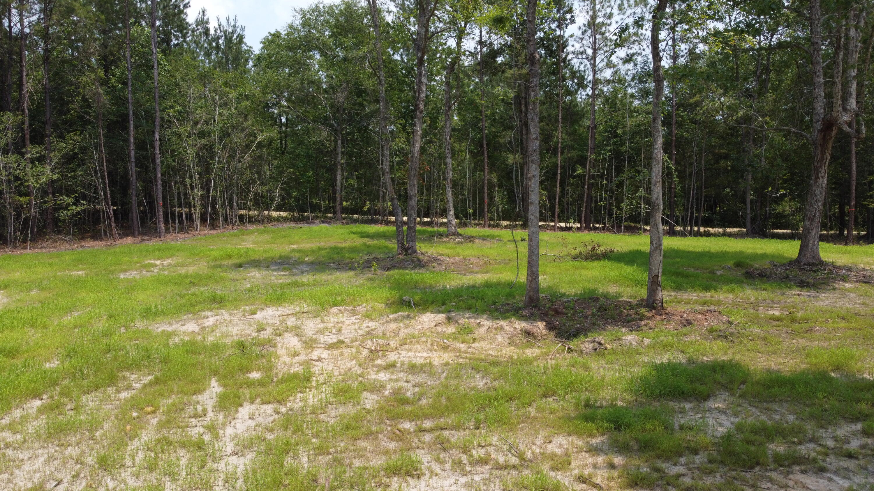 9 Steed Creek Road Huger, SC 29450 - Photo 4 of 15 DJI_0750