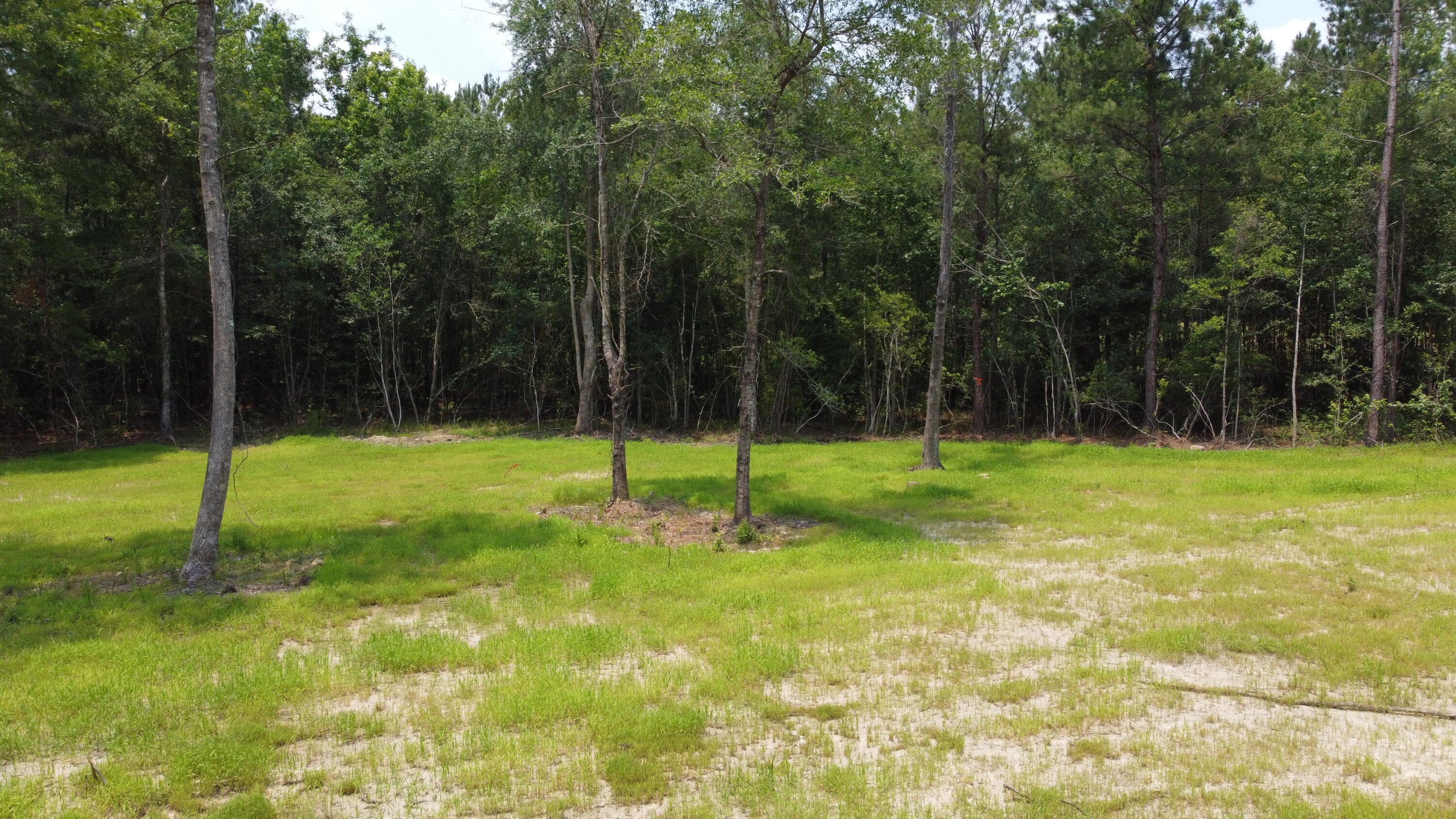 9 Steed Creek Road Huger, SC 29450 - Photo 5 of 15 DJI_0749