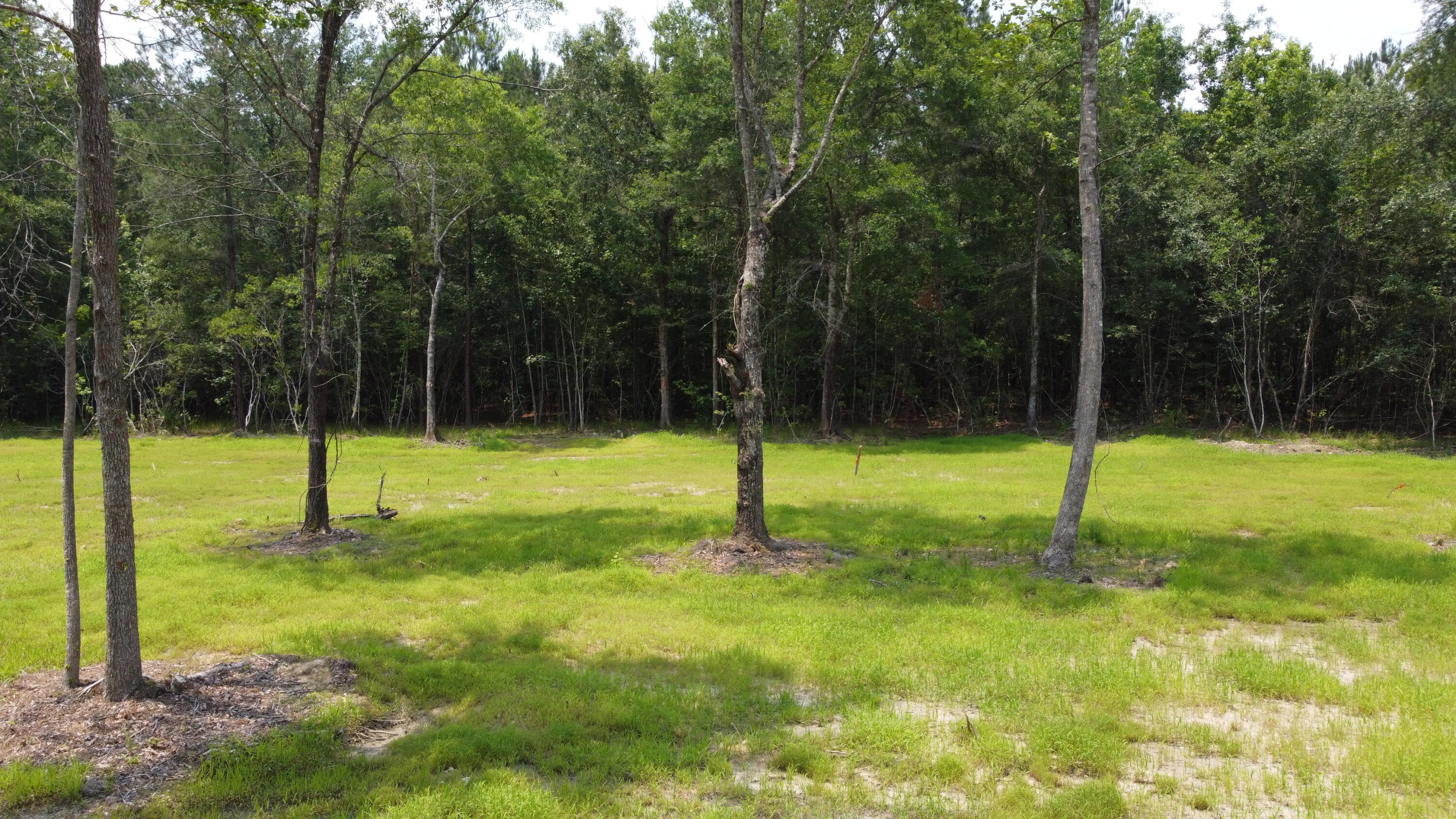 9 Steed Creek Road Huger, SC 29450 - Photo 6 of 15 DJI_0748 (1)