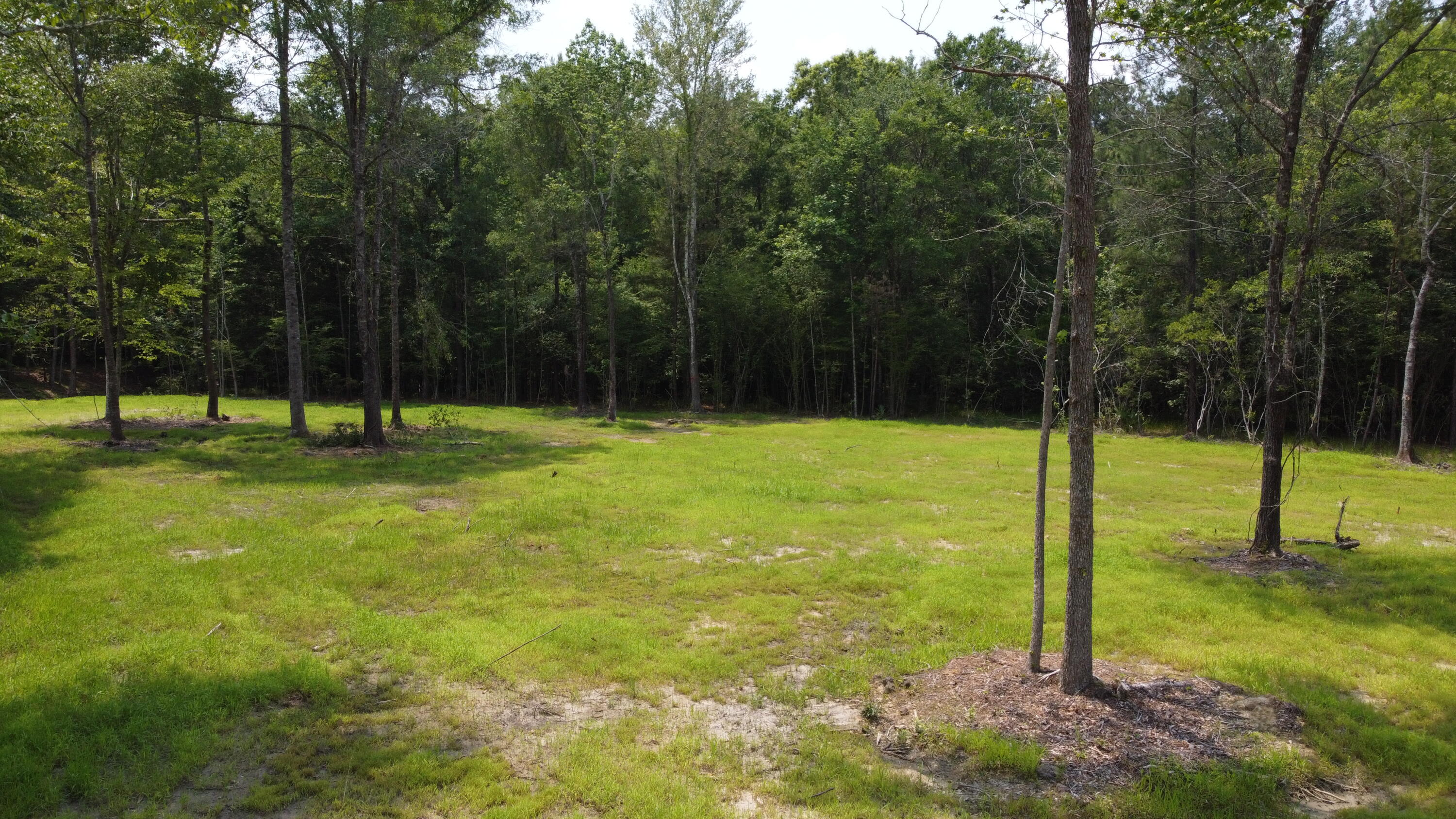 9 Steed Creek Road Huger, SC 29450 - Photo 7 of 15 DJI_0747