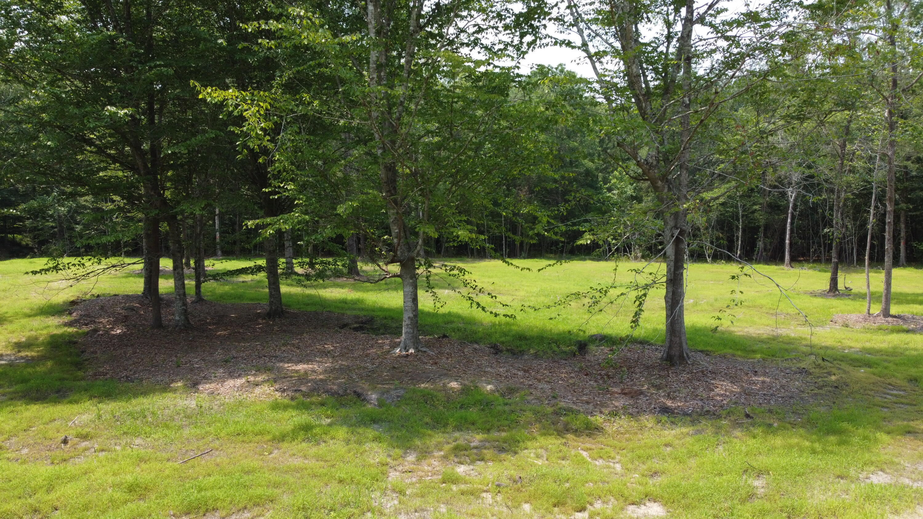 9 Steed Creek Road Huger, SC 29450 - Photo 9 of 15 DJI_0745 (1)