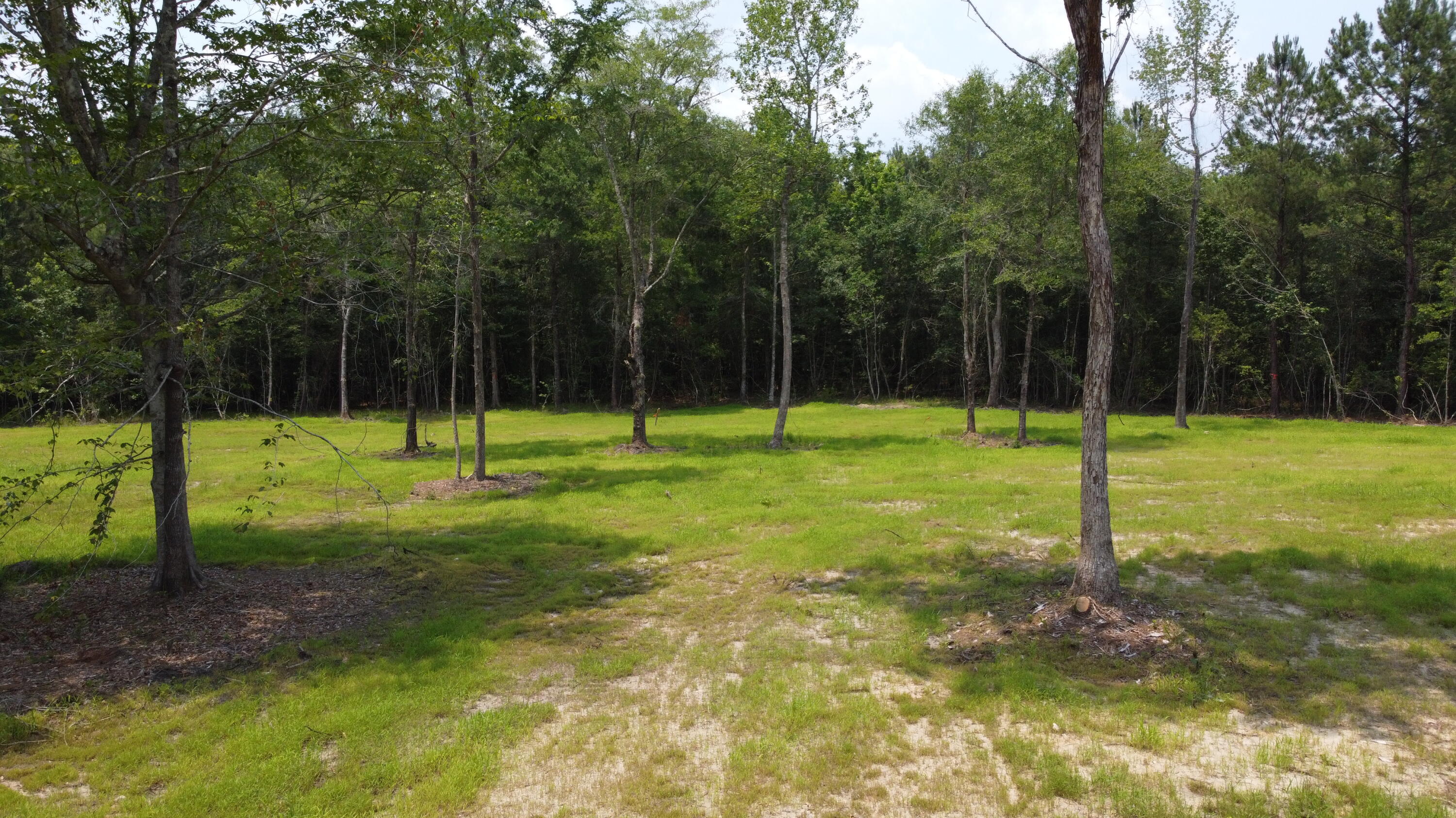 9 Steed Creek Road Huger, SC 29450 - Photo 10 of 15 DJI_0744 (1)