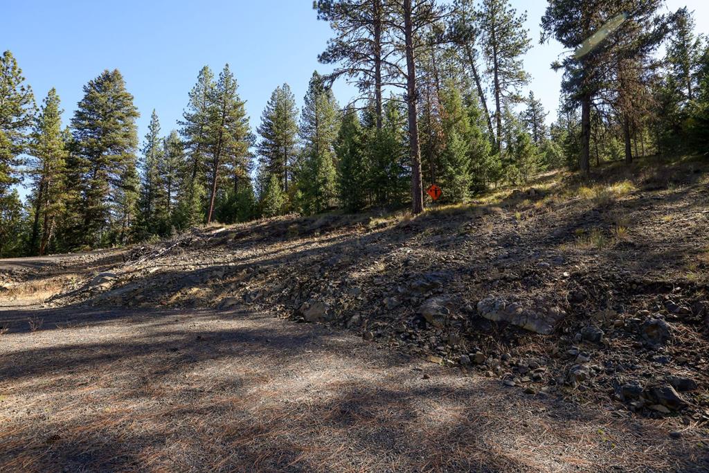 Lot 22 Rim Road, Unit 22 New Meadows, ID 83654 - Photo 31 of 56