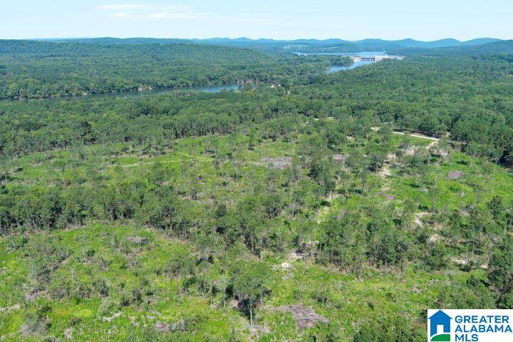 209 Harts Ferry Road, Unit 3 Ohatchee, AL 36271 - Photo 20 of 24
