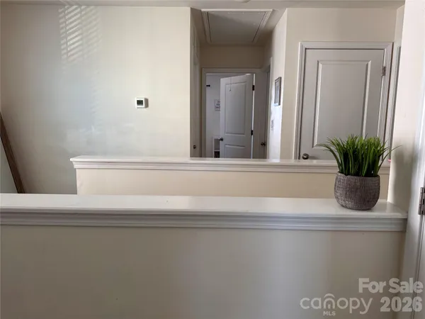 a bathroom with a potted plant
