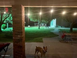 3910 East Via Del Rancho Road Gilbert, AZ 85298 - Photo 51 of 51 IMG_0328