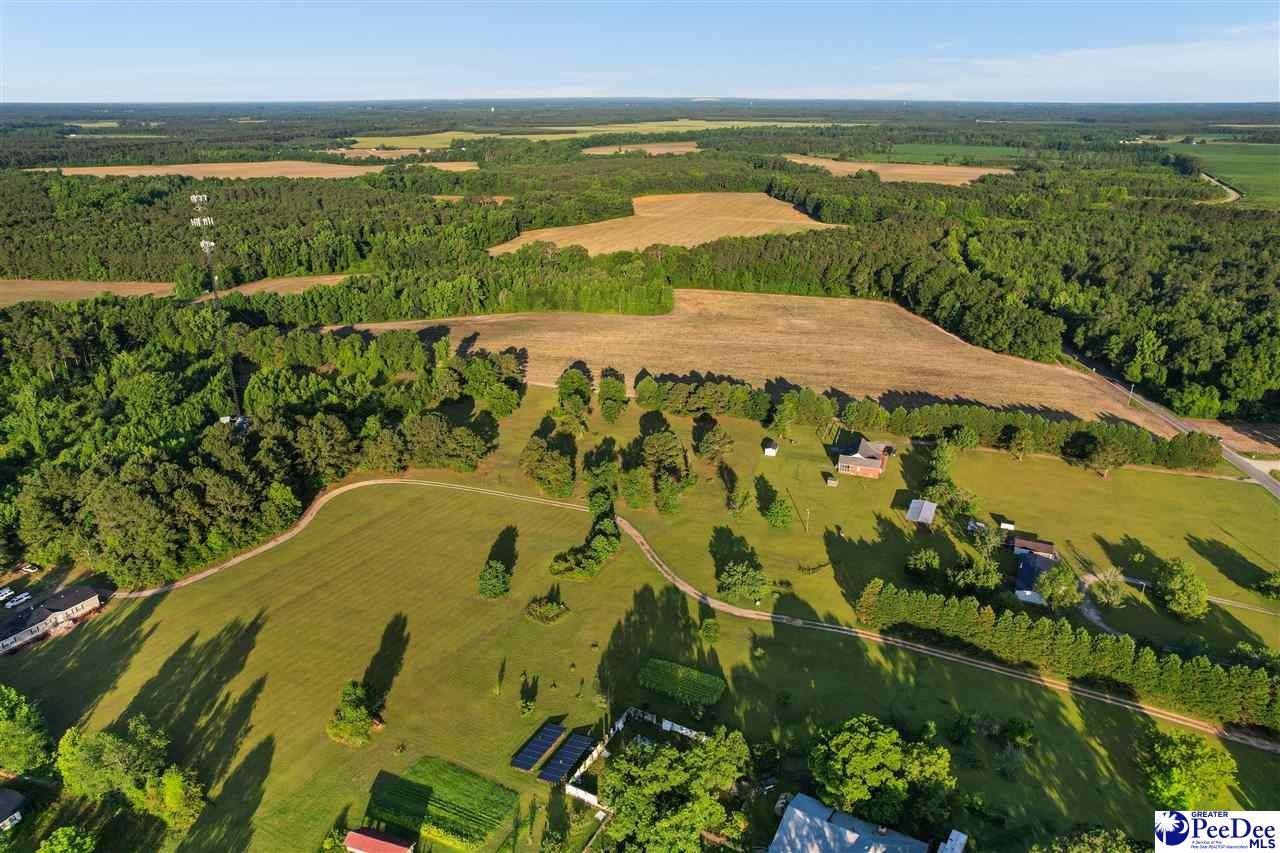 Lot 2-tbd Windham Town Road Lamar, SC 29069 - Photo 14 of 14 Gallery Image 14