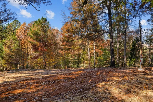 a view of outdoor space with trees