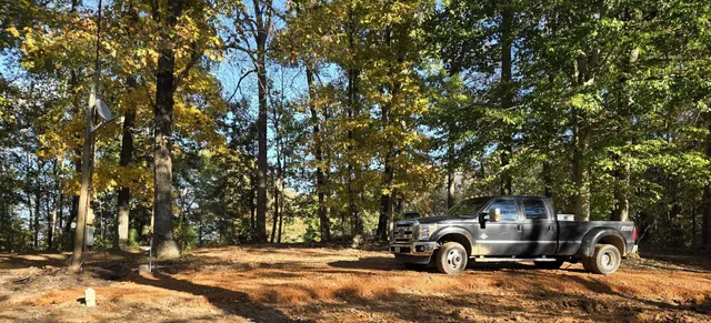 a view of a yard with a tree