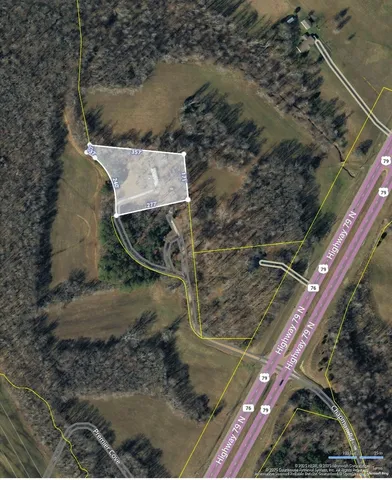 a view of a bunch of flowers