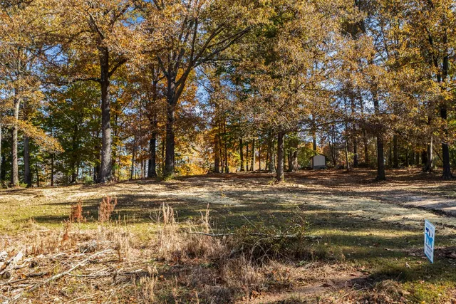 a view of a water fountain with a bench