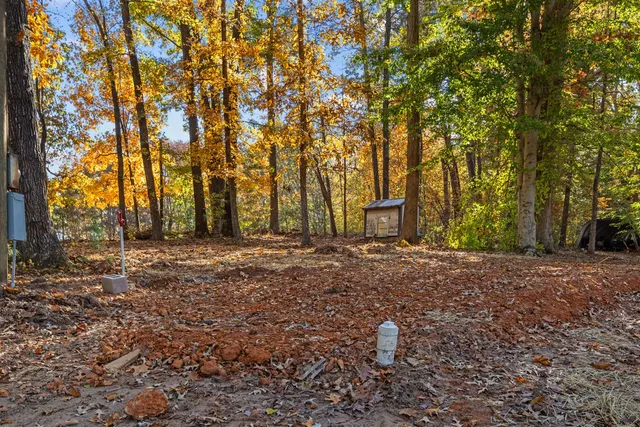 a view of outdoor space with trees