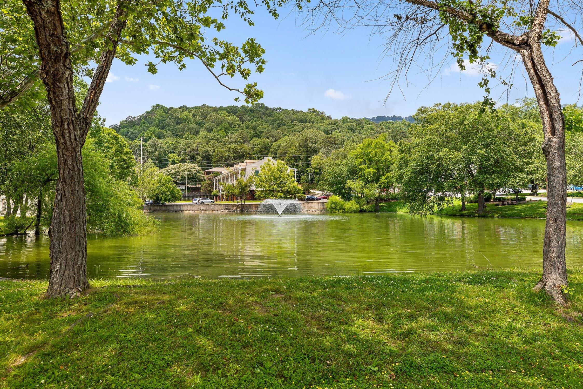 900 Mountain Creek Road, Unit 109 Chattanooga, TN 37405 - Photo 34 of 39 11-SignalView-23