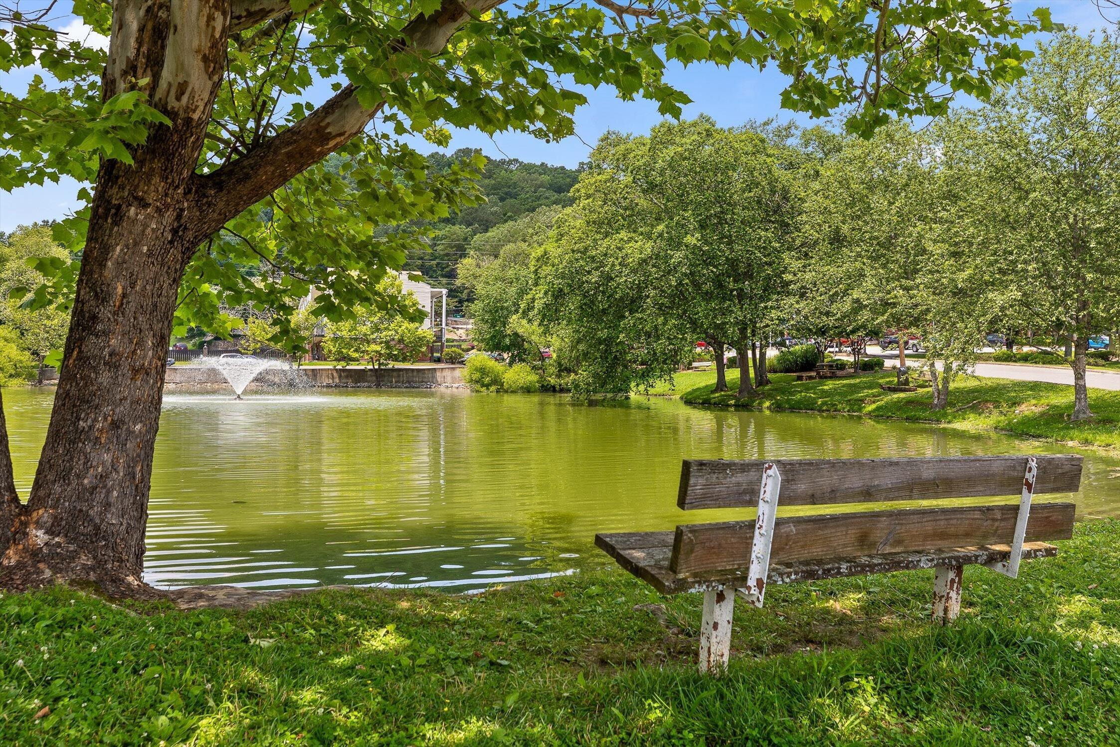 900 Mountain Creek Road, Unit 109 Chattanooga, TN 37405 - Photo 35 of 39 12-SignalView-24