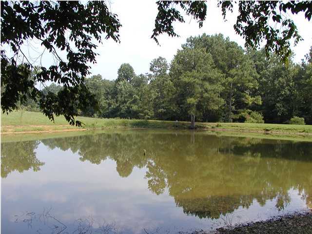 889 Veeler Road LaFayette, GA 30728 - Photo 3 of 9 Additional Photo