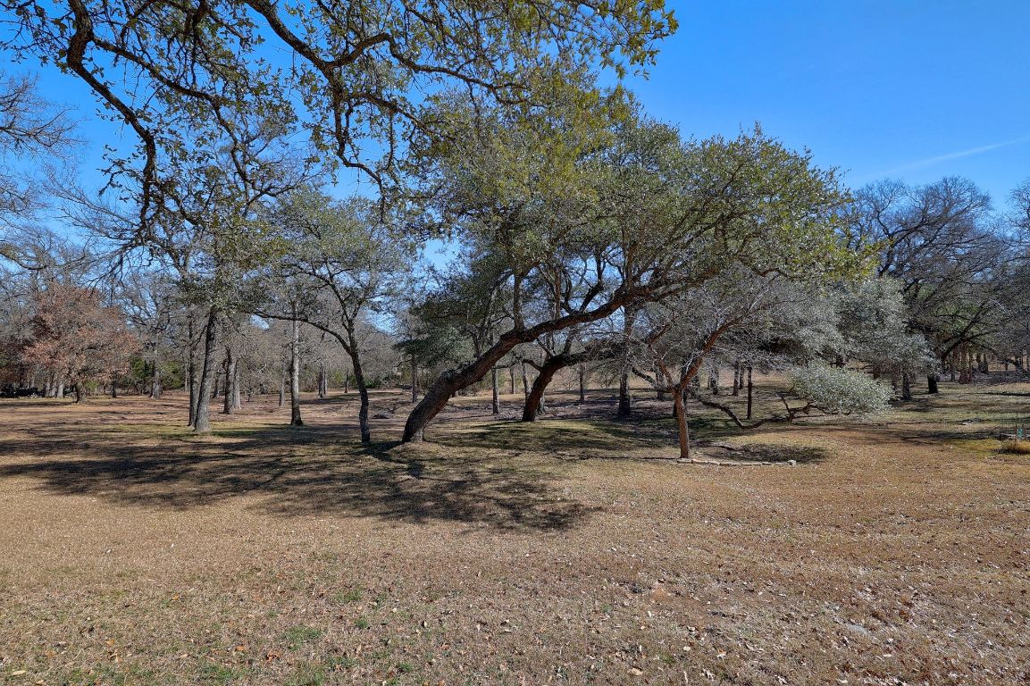 200 High River Ranch Drive Liberty Hill, TX 78642 - Photo 29 of 39 a view of dirt yard with a large tree