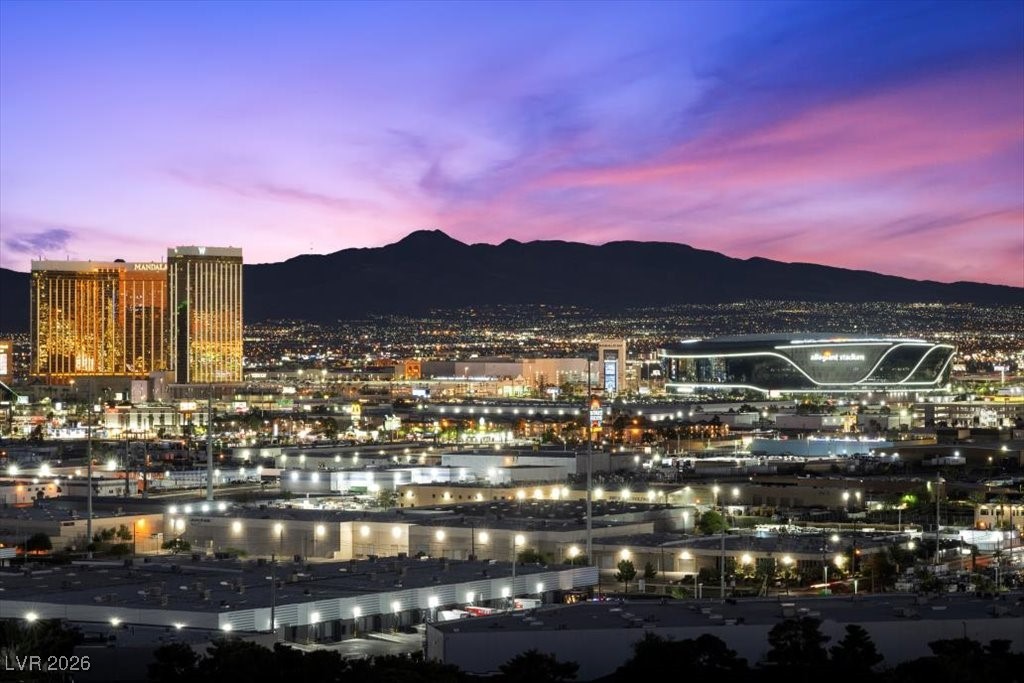 4381 West Flamingo Road, Unit 21302 Las Vegas, NV 89103 - Photo 60 of 61