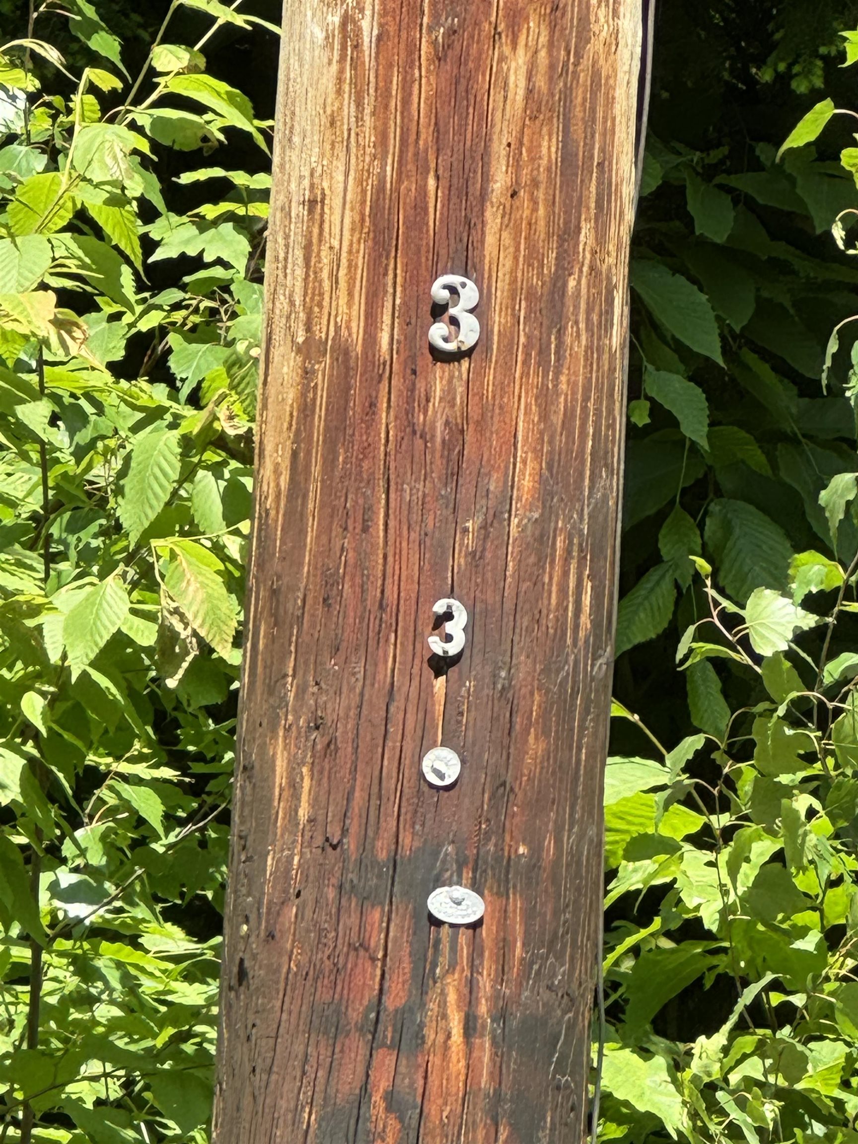 0 Boardman Loop West Wardsboro, VT 05360 - Photo 4 of 6