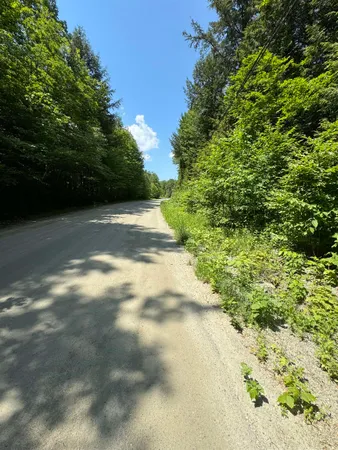 $45,000 | 0 Boardman Loop, West Wardsboro, VT 05360