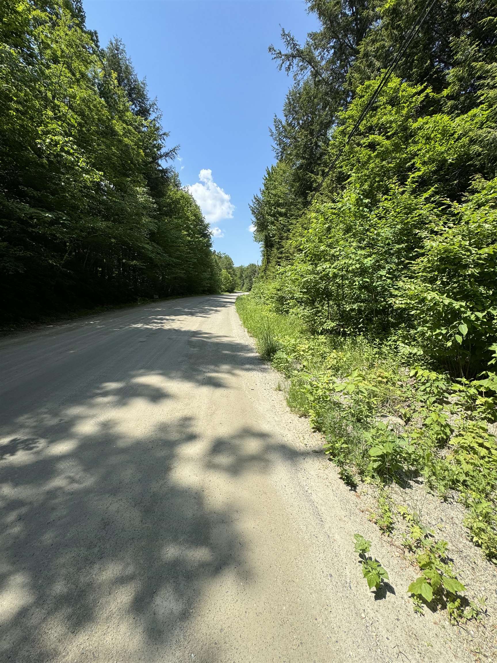 0 Boardman Loop West Wardsboro, VT 05360 - Photo 6 of 6