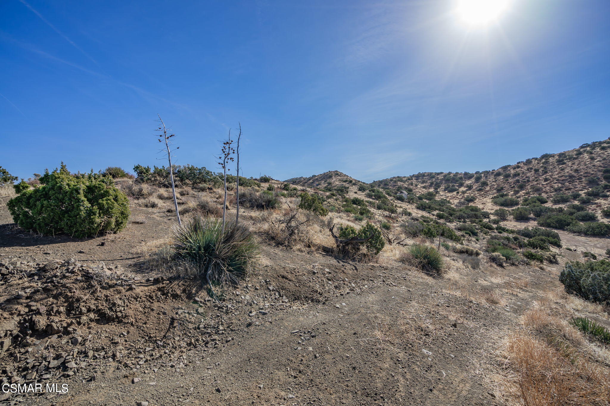 1350 Cardiac Ranch Road Acton, CA 93510 - Photo 29 of 30 52-web-or-mls-DSC03538