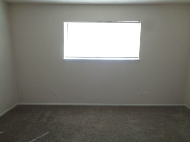 22430 Meadowgate Drive Spring, TX 77373 - Photo 19 of 25