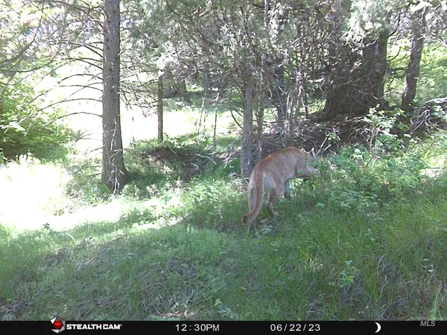 $635,000 | Tbd Baldy Mountain Road, Lava Hot Springs, ID 83246