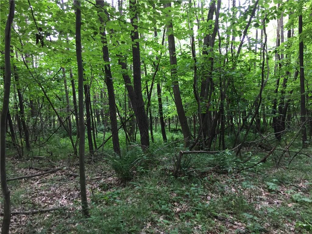 217 Hall Road Slippery Rock, PA 16057 - Photo 20 of 21 Gallery Image 20
