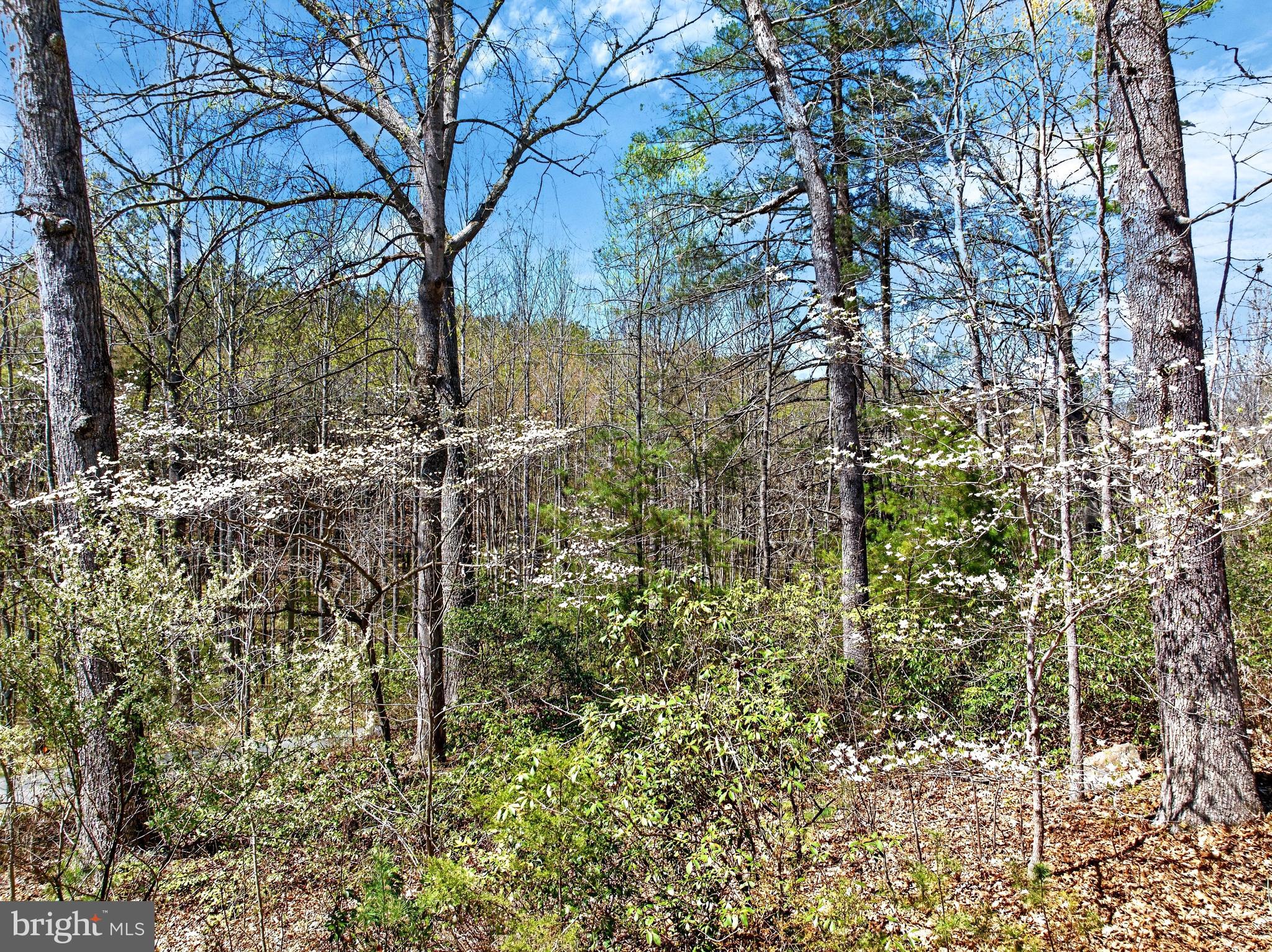 12415 Scotts Mill Road Culpeper, VA 22701 - Photo 72 of 75