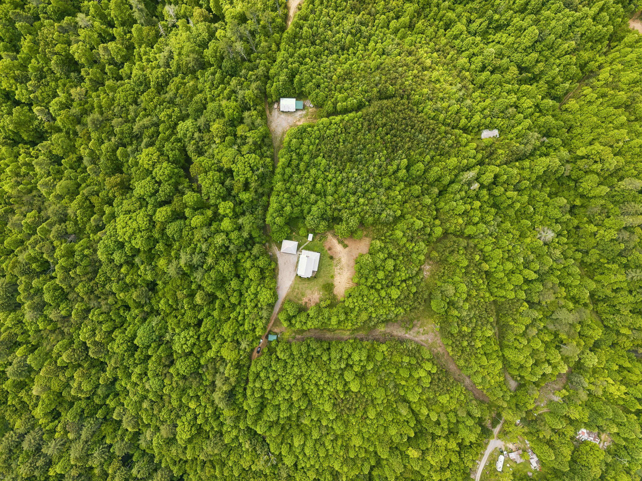 161 Willie Shell Road Reliance, TN 37369 - Photo 64 of 70 52-161 Willie Shell Rd Reliance - 062