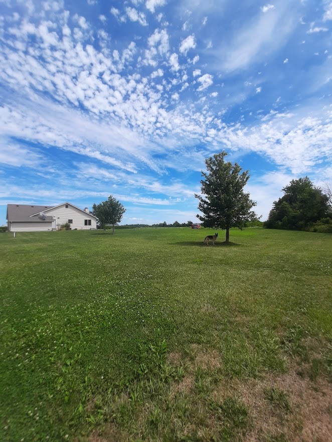 15217 Harber Road Yoder, IN 46798 - Photo 6 of 34