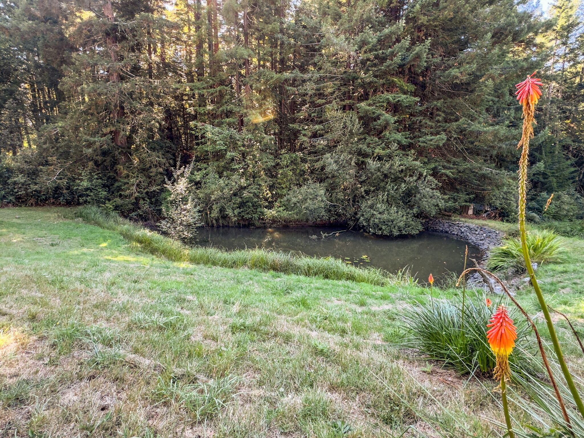 7097 Fickle Hill Road Arcata, CA 95521 - Photo 21 of 43