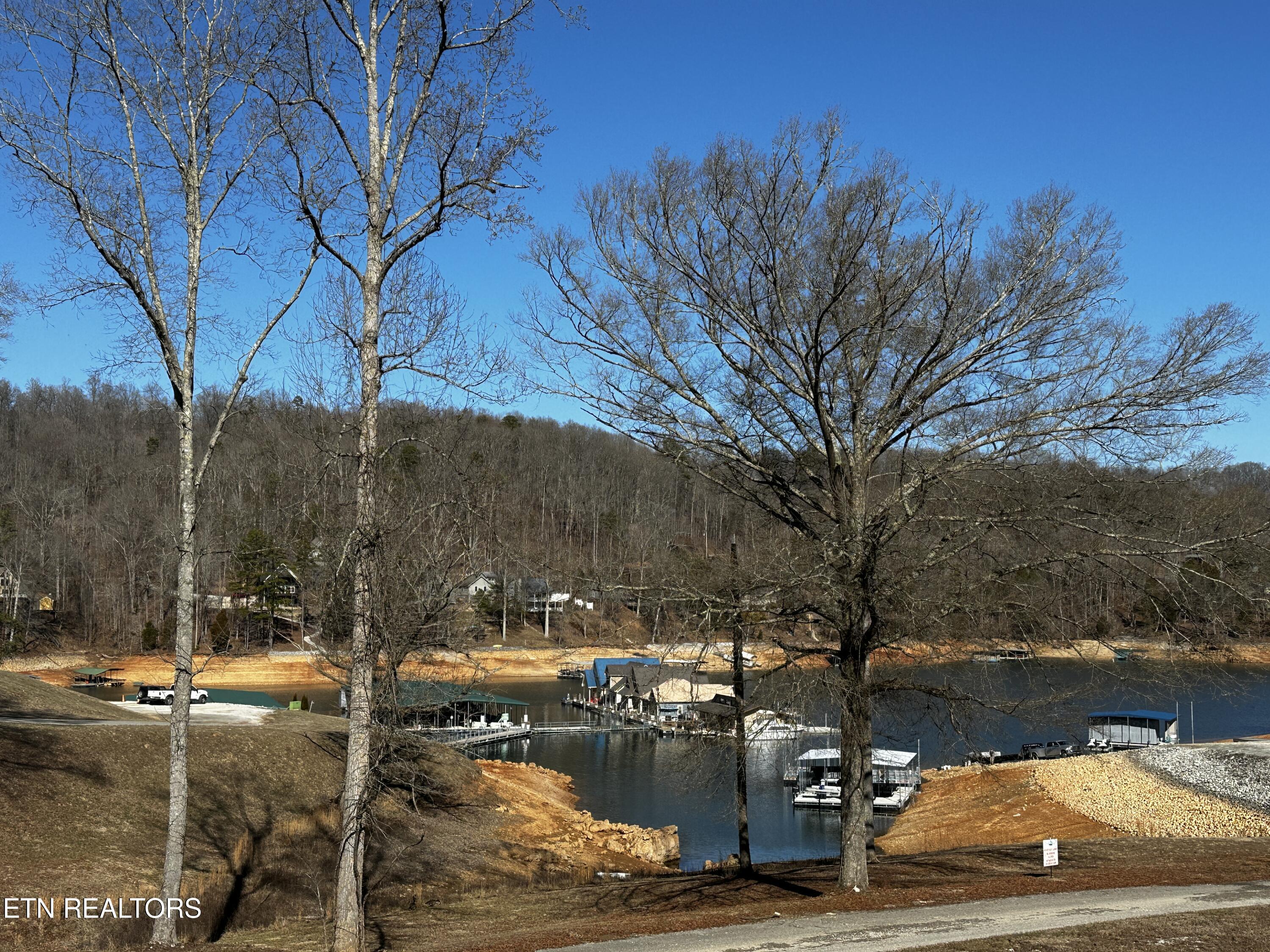 535 Prestige Ridge La Follette, TN 37766 - Photo 7 of 31 IMG_2121