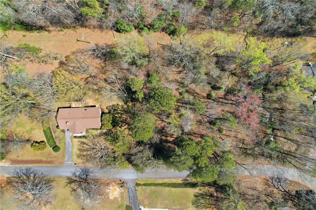 410 Springdale Avenue Liberty, SC 29657 - Photo 41 of 50 This elevated view captures a charming residence nestled amidst a verdant landscape.