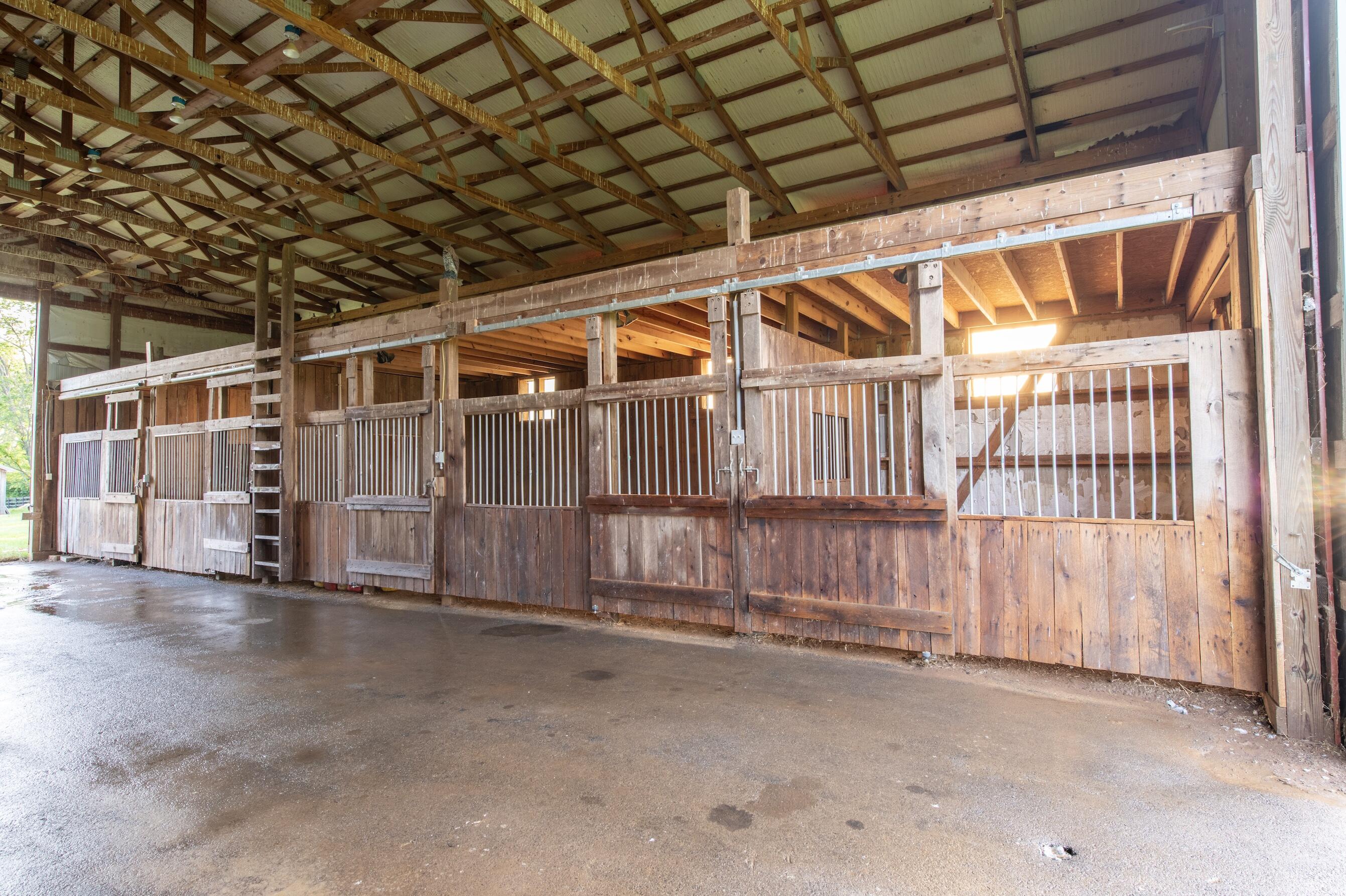 3003 Ironworks Road Georgetown, KY 40324 - Photo 48 of 53 Barn Interior 2