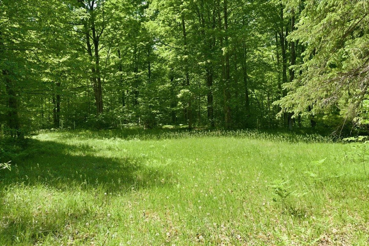 14754 North McComb Lake Road Mountain, WI 54149 - Photo 58 of 82