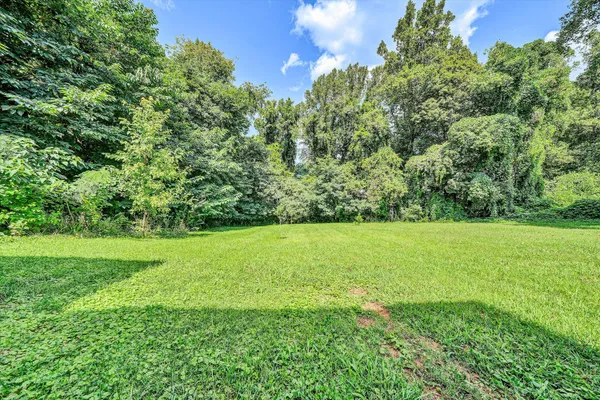 a view of yard with green space