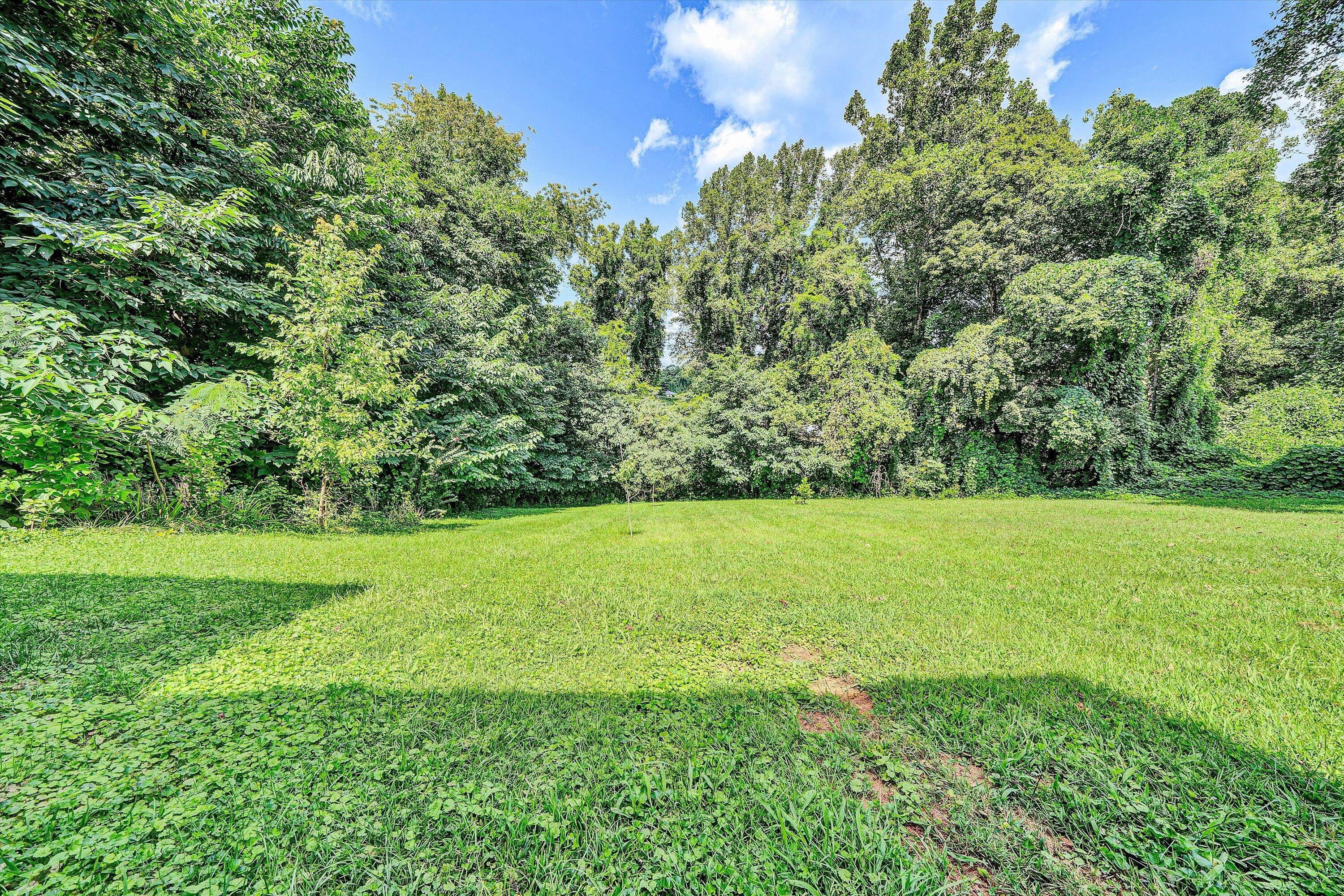 Lot 6 River Rock Road Vinton, VA 24179 - Photo 2 of 10 a view of yard with green space