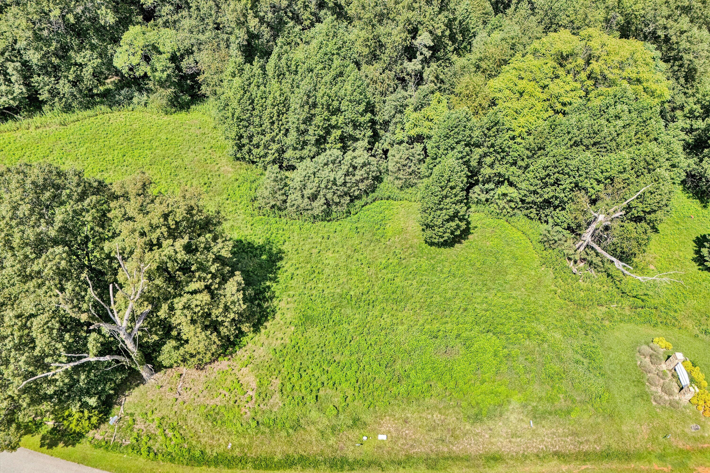 Lot 6 River Rock Road Vinton, VA 24179 - Photo 3 of 10 a view of a yard