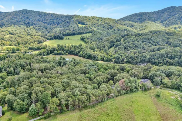 a view of a lush green hillside and a houses