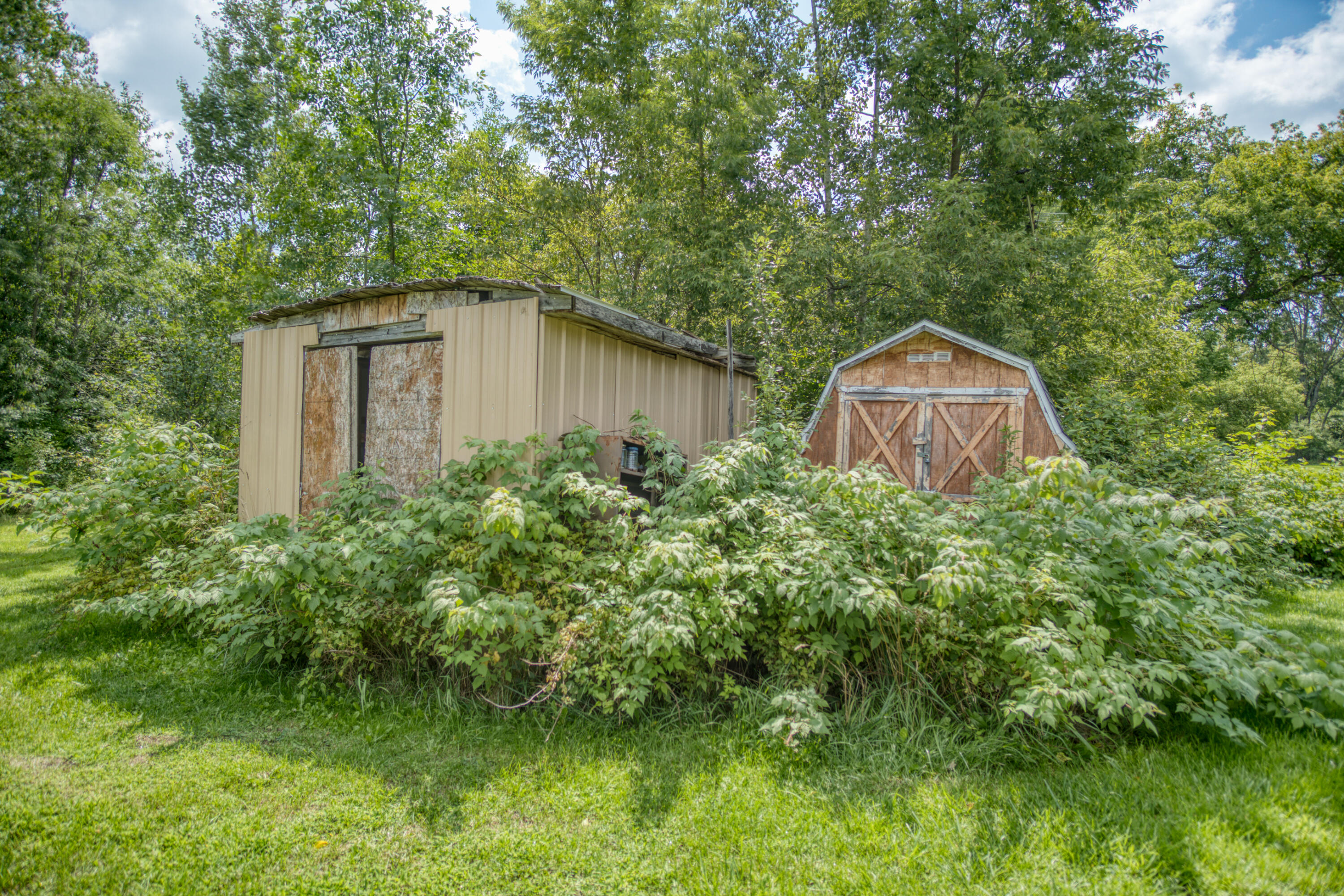11345 5 Mile Road Morley, MI 49336 - Photo 17 of 28 DSC07346_16