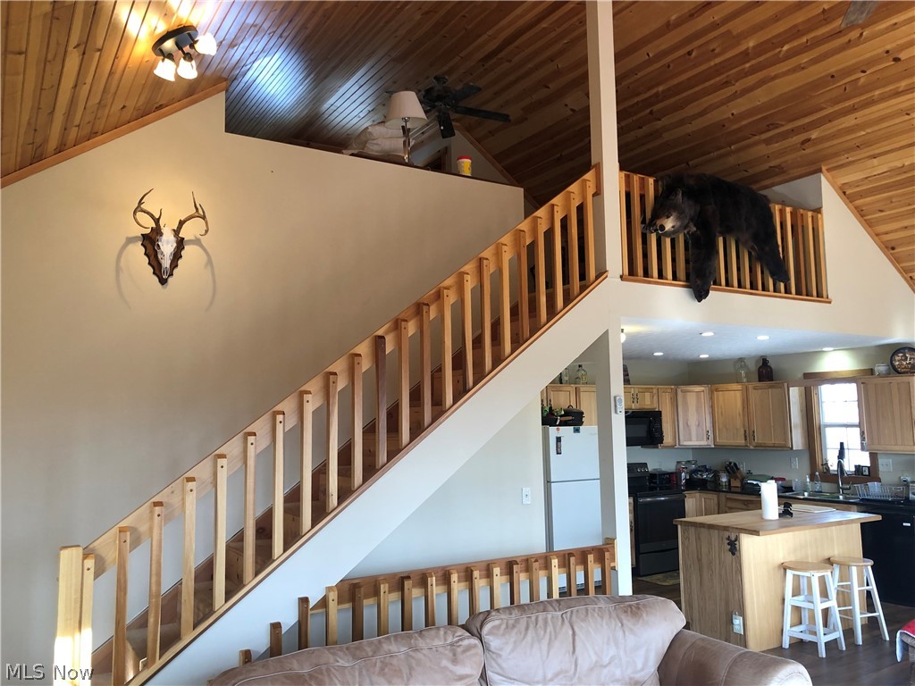 47355 Cat's Run Road Beallsville, OH 43716 - Photo 8 of 29 Gallery Image 8