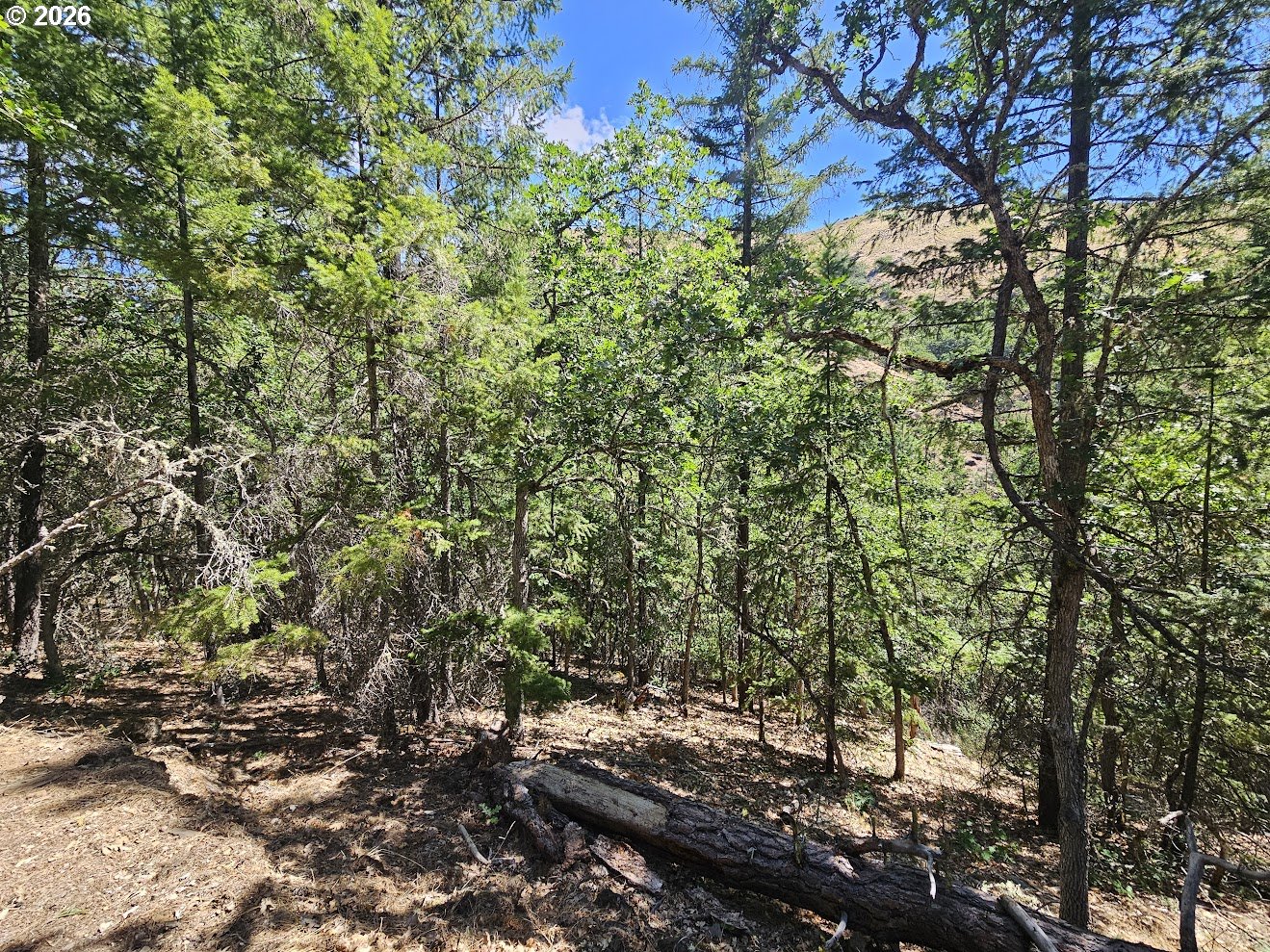 Lovers Lane Lyle, WA 98635 - Photo 15 of 25