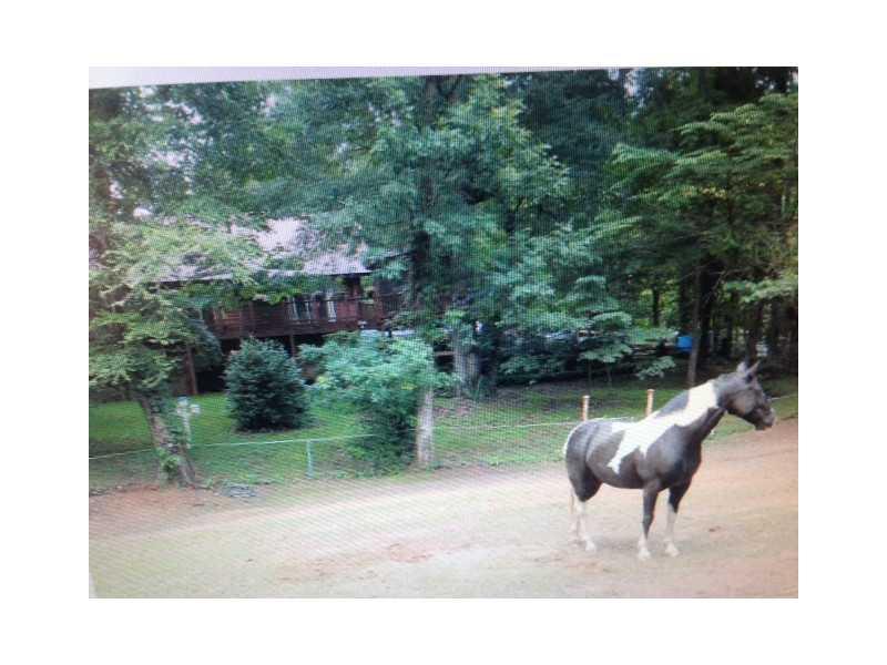 3656 Martin Farm Road Suwanee, GA 30024 - Photo 1 of 1 Back Yard. Bring your horses. This property is already approved for horses.